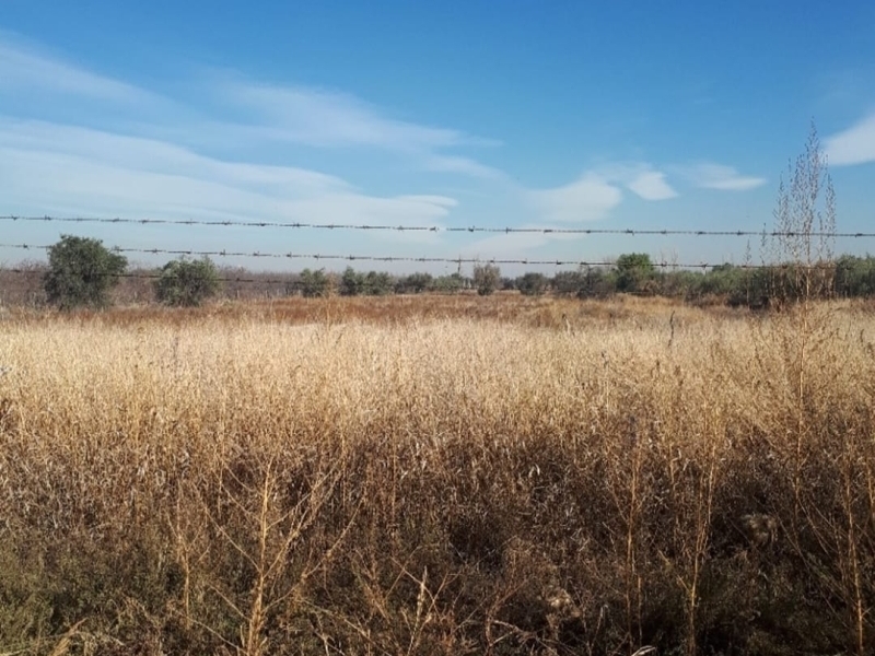 LOTE INDUSTRIAL EN COQUIMBITO - MAIPU