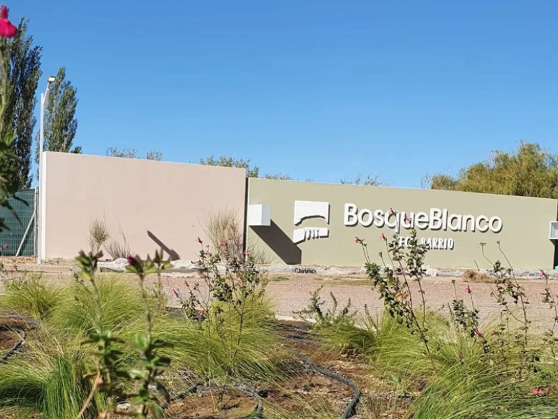 LOTE EN BARRIO PRIVADO BOSQUE BLANCO - JUNIN
