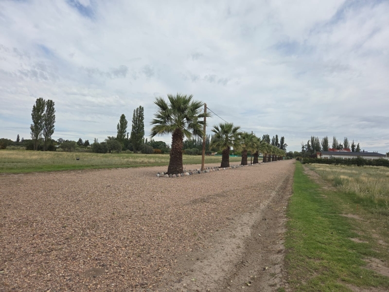 LOTES EN BARRIO PRIVADO LAS PAREDES - SAN RAFAEL