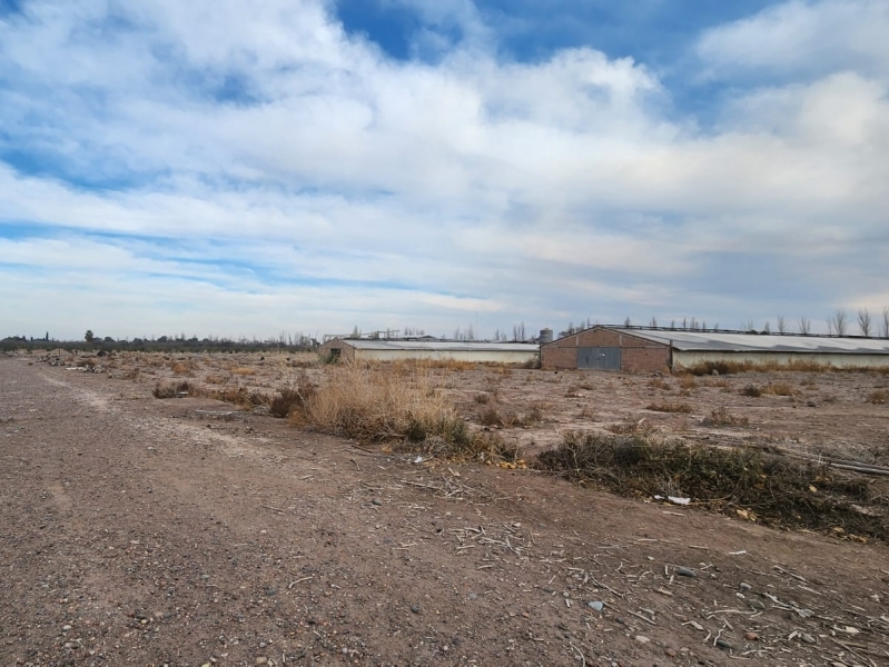 LOTE ZONA INDUSTRIAL EN GUAYMALLEN 8,4 Ha.
